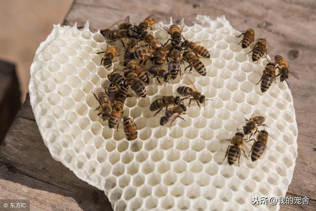 ���۷�������ô�����������������������趼��Ц�������������㣡