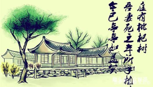 ��ѧ��أ��������ġ����ι��ĺ�����СƷ������Щ��Ҫ����