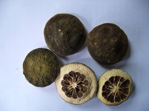 ��ʵ�ġ��ֵܡ��׿ǣ�Ҳ��һζ����θ�����͵�ҩ�