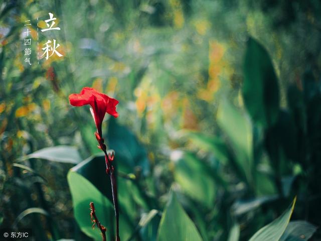 ũ������˵����������쬣����������ţ������ʲô��˼��