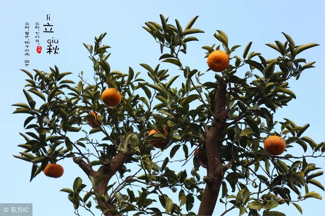 ũ������˵����������쬣����������ţ������ʲô��˼��