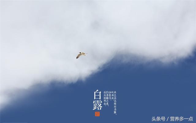 ��¶���ˣ��ٳ�3��ʳ����2��ʳ����㽡���ﶬ������