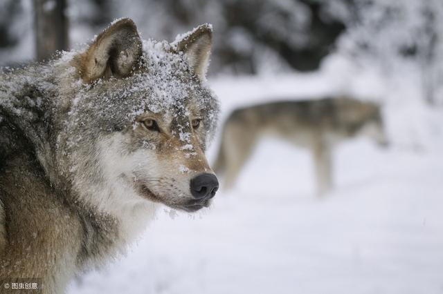 С���۵��ˣ�������3���������м�����