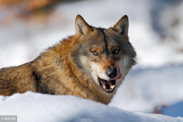 С���۵��ˣ�������3���������м�����