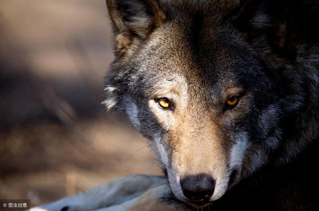 С���۵��ˣ�������3���������м�����