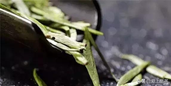 ��Ҷ������ʲô�裿