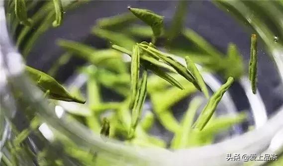 ��Ҷ������ʲô�裿