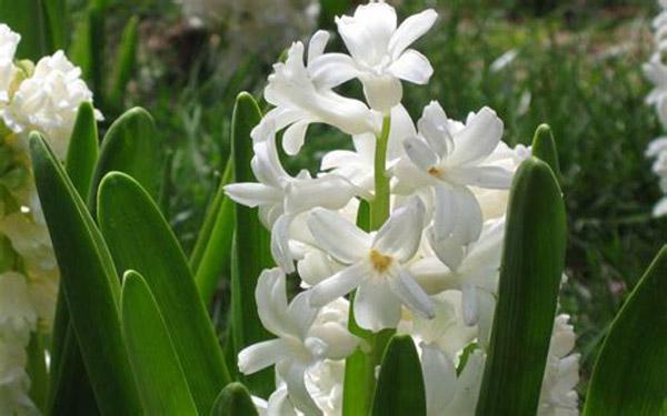 �����ӵĻ�����ʲô