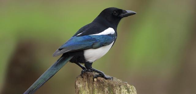 ��ҥحϲȵ����ʳ���������Ǻ�����ʵũ��������ˣ�