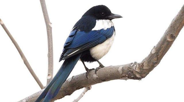 ��ҥحϲȵ����ʳ���������Ǻ�����ʵũ��������ˣ�