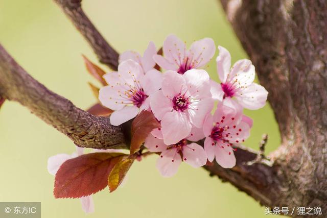 �������ĥ�³���÷�����Կຮ��