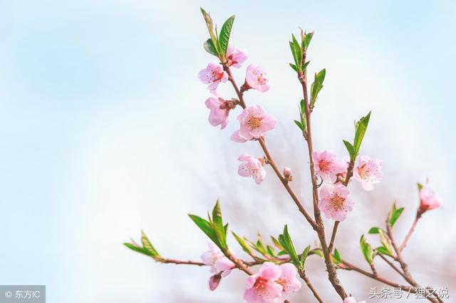 �������ĥ�³���÷�����Կຮ��