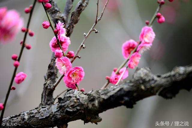 �������ĥ�³���÷�����Կຮ��