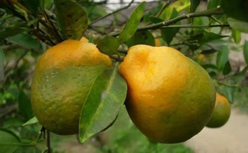 2018�������ȼ۸������ǣ���ʲôԭ��