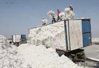 2019���޻��۸���ǣ�