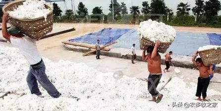 2019���޻��۸���ǣ�