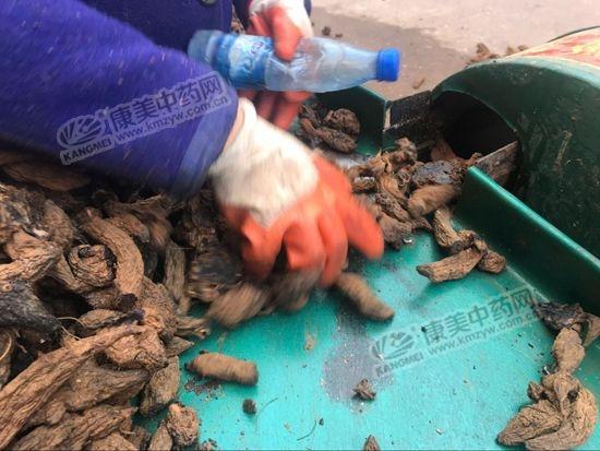 Ķ����2400-3400Ԫ��������רҵ��ֲ�����������ҩ�ģ�