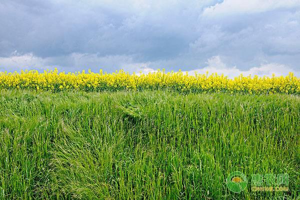 �������Ʒ������Щ����������������۸�һ���Ƕ��٣�