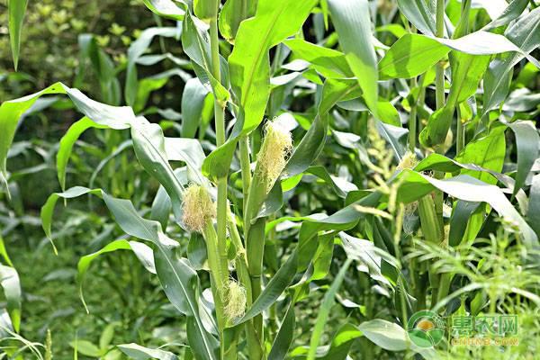 �������Ʒ������Щ����������������۸�һ���Ƕ��٣�