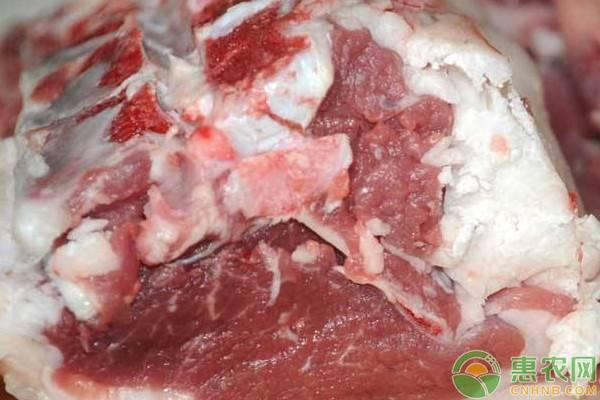 ��ǰ����۸���Σ�2019��ȫ��������������۸�����