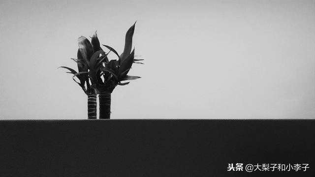 �ϴ���Ƭ������Ҫ����������ı���Ƭ�ߴ�