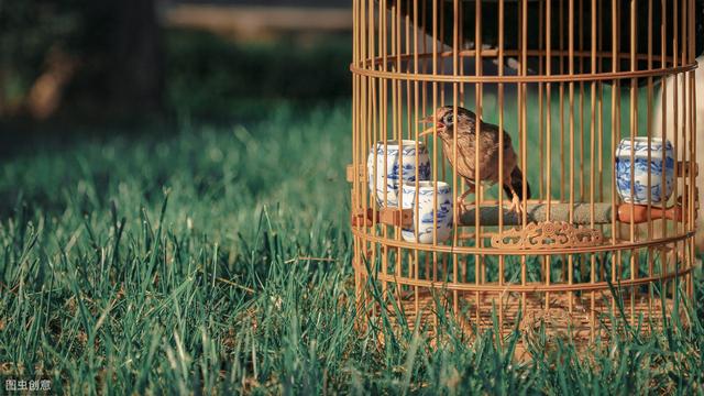 �������������ͽ����ʲô��������Ҫ������һ��