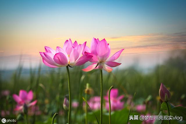 ���ϱ����£�ӹ������֮