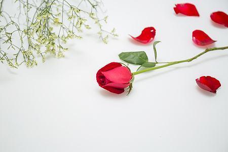 ��֪�����˽��ͻ����ɿ���������ʲô��