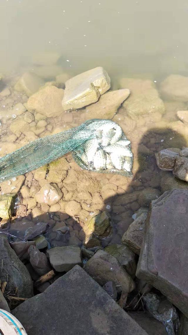 �����ע������