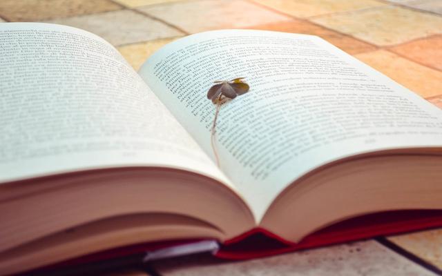 �������£�Ʒ����������������