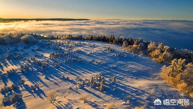 ��������������罻�־�֢��ʲô����ô������