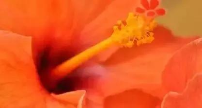 ��һ�ְ�������һ����Ը