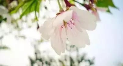 ��һ�ְ�������һ����Ը