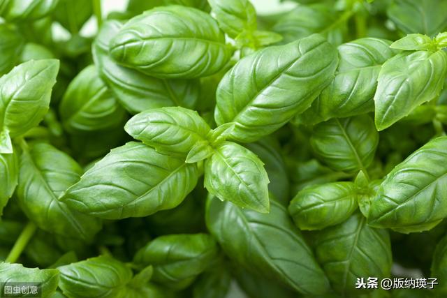 �Ų�����ʲô���ϣ����滹�����գ�������������ʳ������ε�ζ