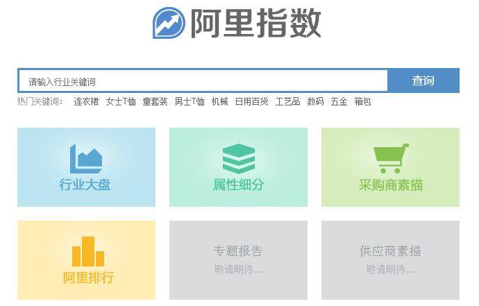 ����ָ��