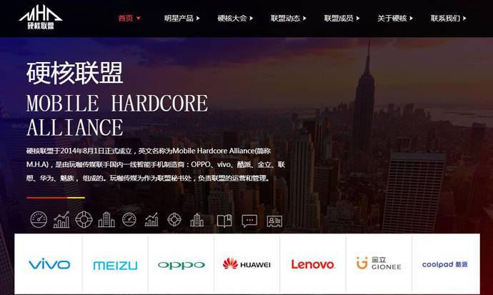 Ӳ������