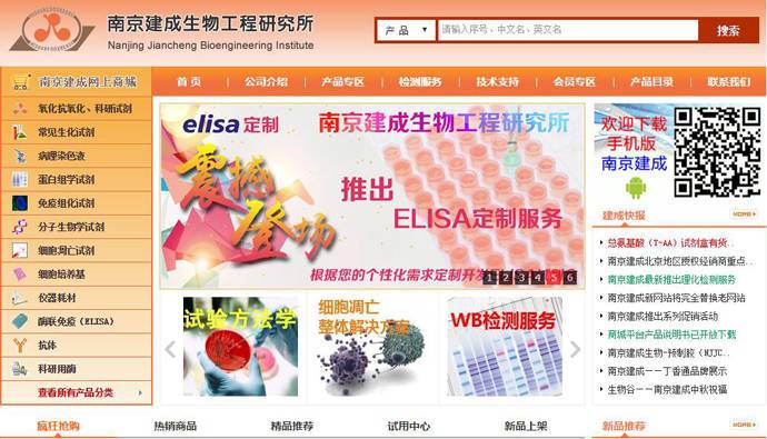 �Ͼ�����