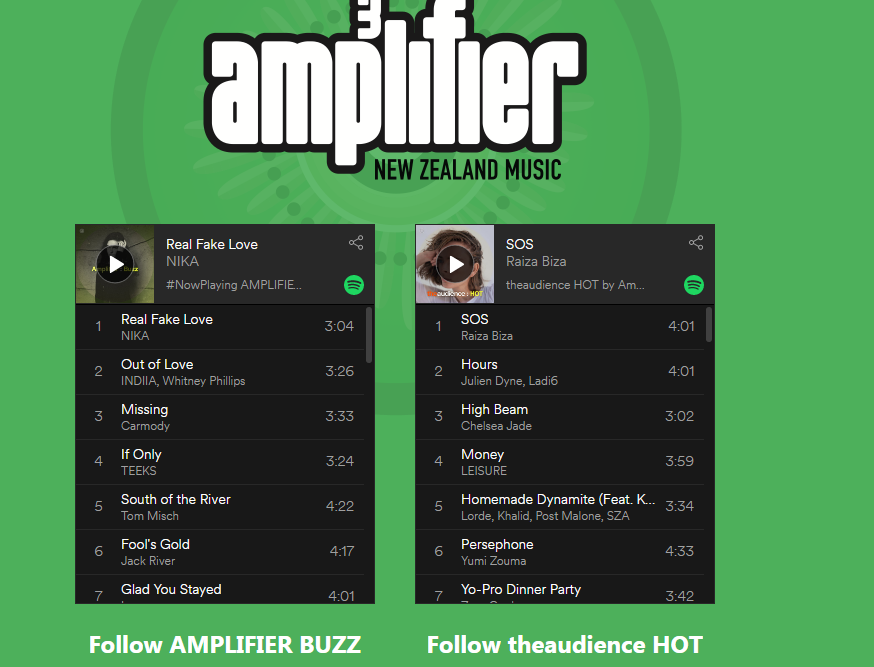Follow Amplifier