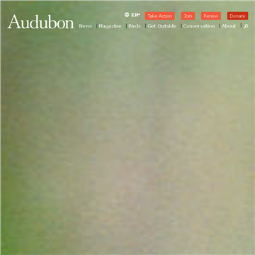 �¶Ű�����ѧ��