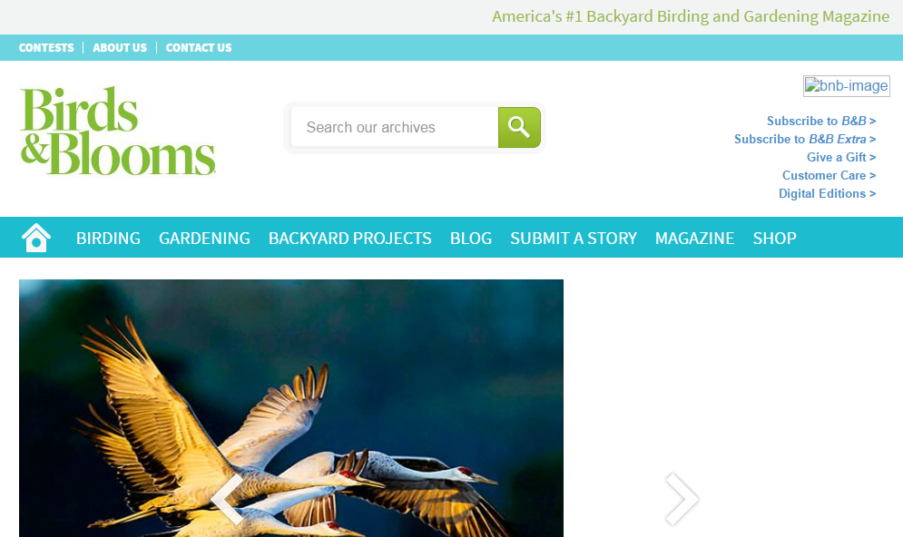 �������ﻨ����־