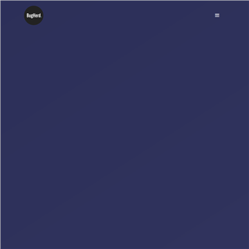 ��վBUG����ϵͳ����