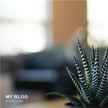 �����й��̻�