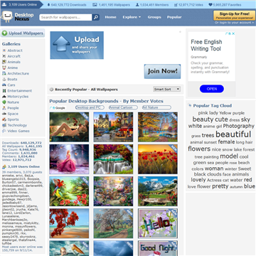 ���������ֽ������