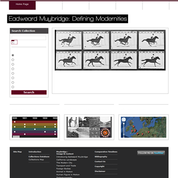 �����ֵ»Ӱ����