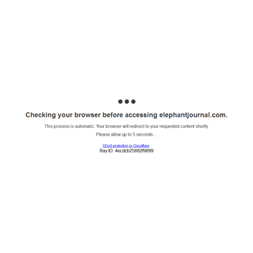 �������ʽ������־