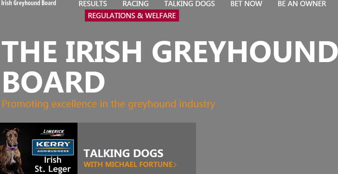 ����������Ȯ���»�