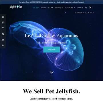 ���߳������۹�˾