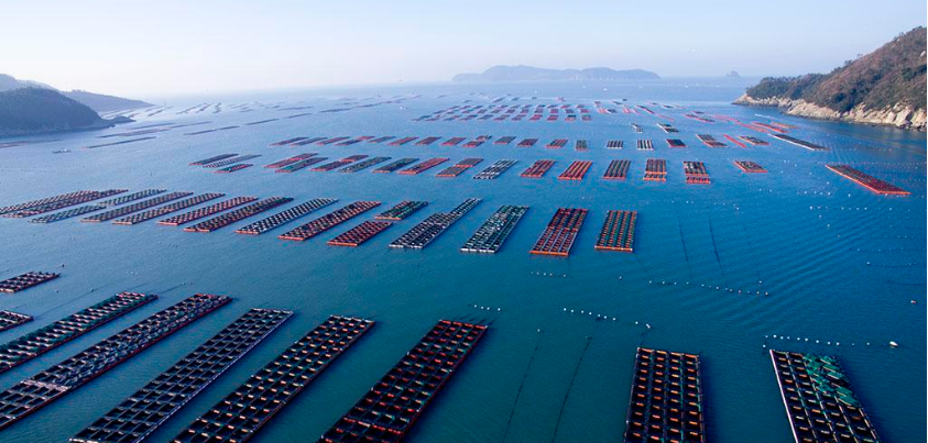 ��������ˮ����