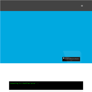 ��վʵʱ���²������