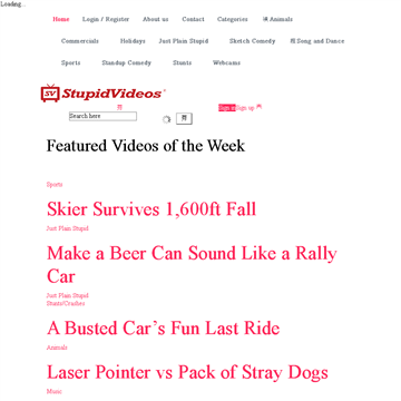 Stupid Videos